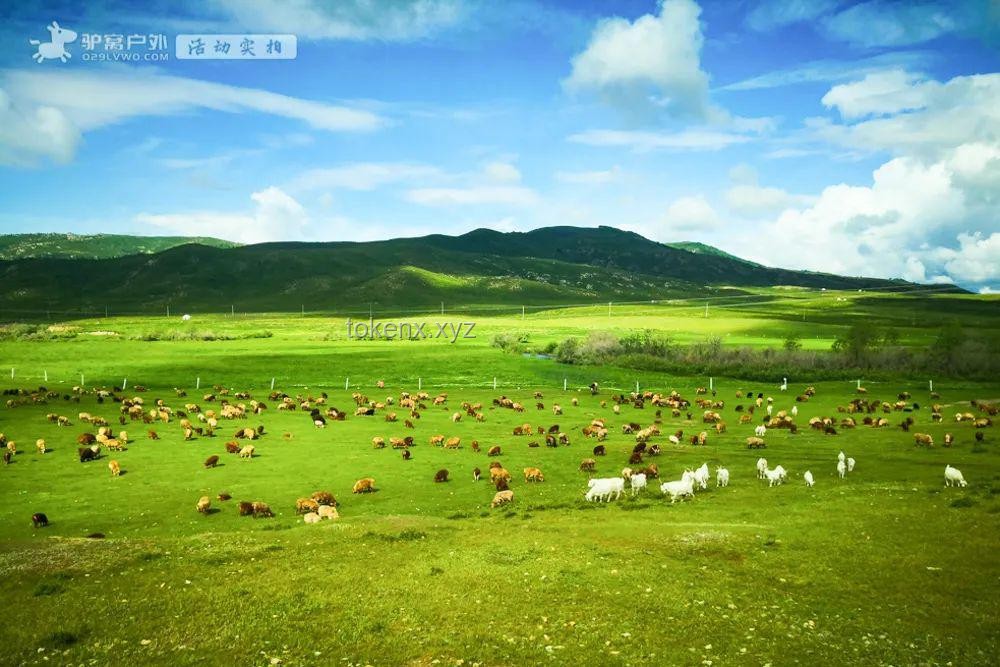 内蒙古“落日彩虹”奇观频发：自然美景背后的趋势预测与应对策略